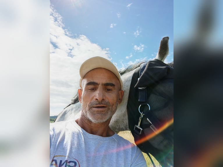 Pferdepflegerhelfer, Tierpfleger, Stallhilfe, Stallbursche, Hofarbeiter