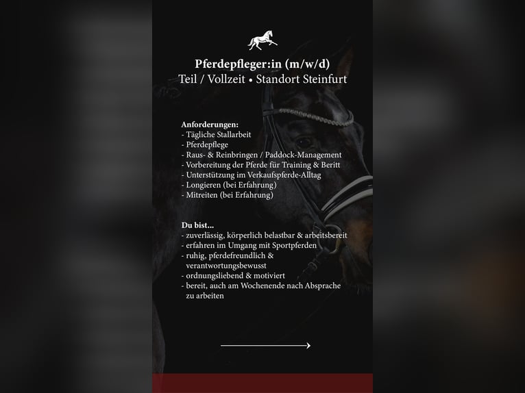 Pferdepfleger/in / Stallhilfe / Reiter/in gesucht 