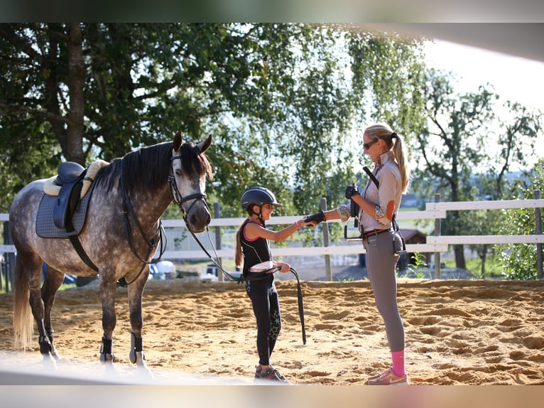 Droomberoep: Paardenspecialist