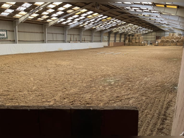 15 ha paardenhouderij nabij de Oostzee – afgeronde percelen