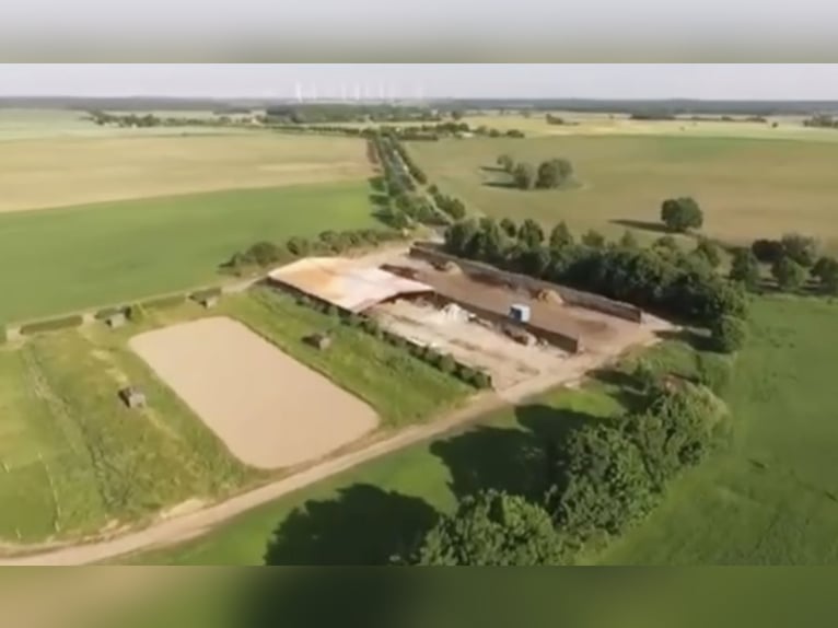 15 ha paardenhouderij nabij de Oostzee – afgeronde percelen