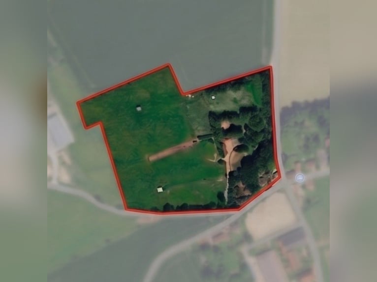 15-stallen Paardeneigendom op 5 hectare – België