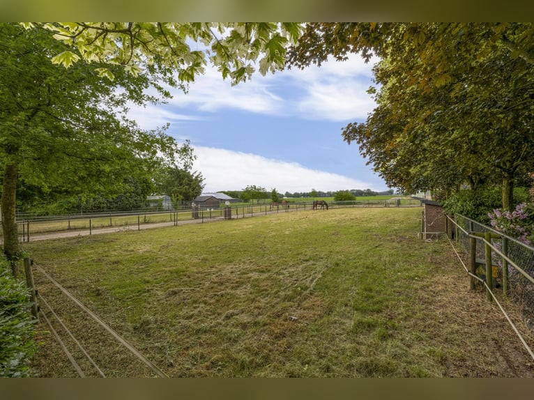 A complete equestrian facility with plenty of opportunities for the (semi)professional horse lover!