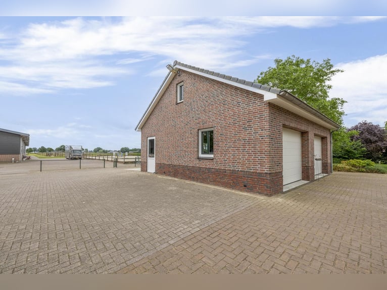 A complete equestrian facility with plenty of opportunities for the (semi)professional horse lover!