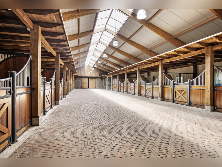 A Stunning Equestrian Estate with Endless Possibilities for the Professional Horse Enthusiast!