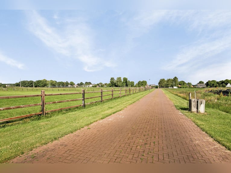 A Stunning Equestrian Estate with Endless Possibilities for the Professional Horse Enthusiast!