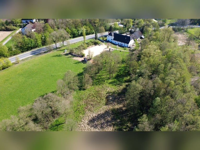 Aan de Obersee! Boerderij met manege, ideaal voor meerdere generaties
