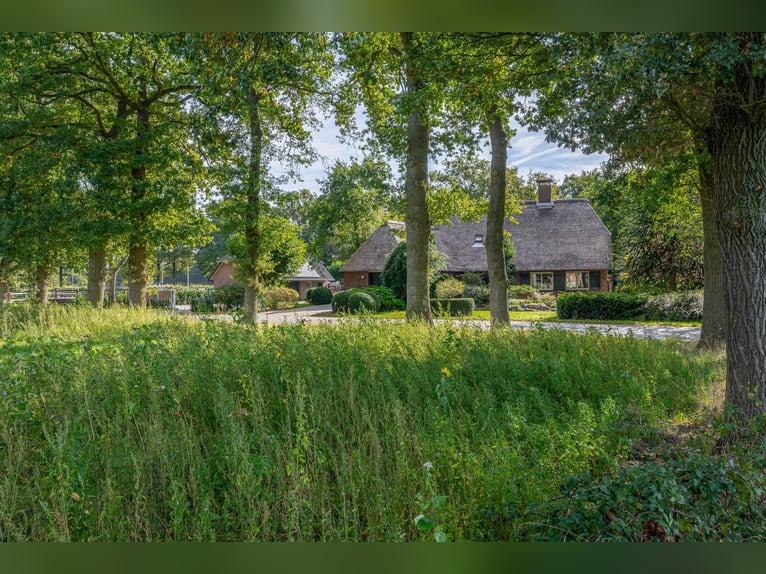 Amazing location for horselovers