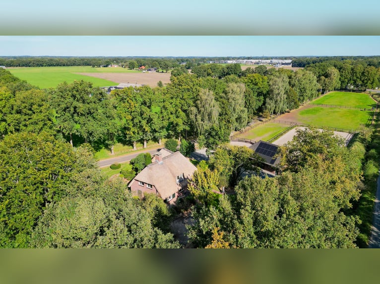 Amazing location for horselovers