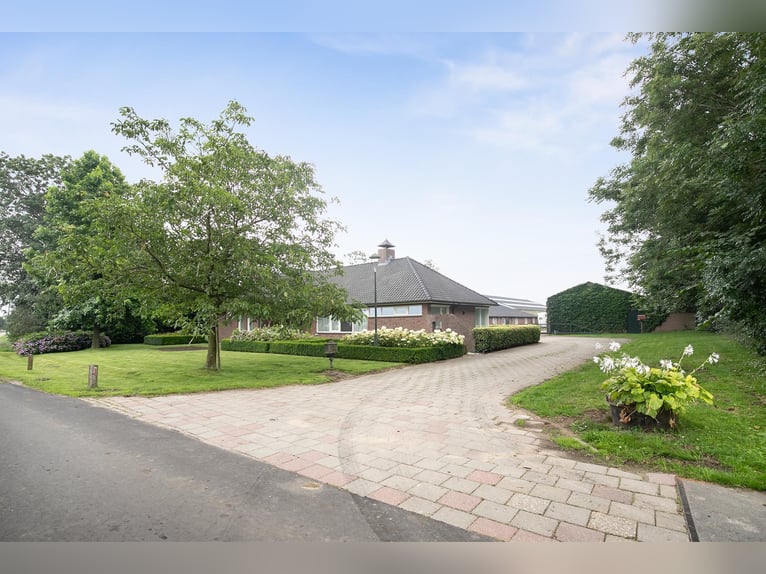 An exceptional equestrian estate with outstanding facilities!