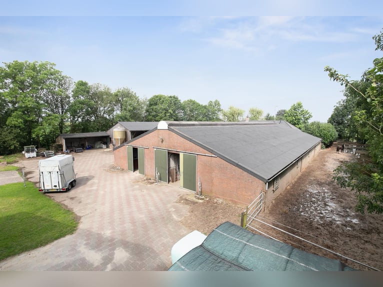 An exceptional equestrian estate with outstanding facilities!