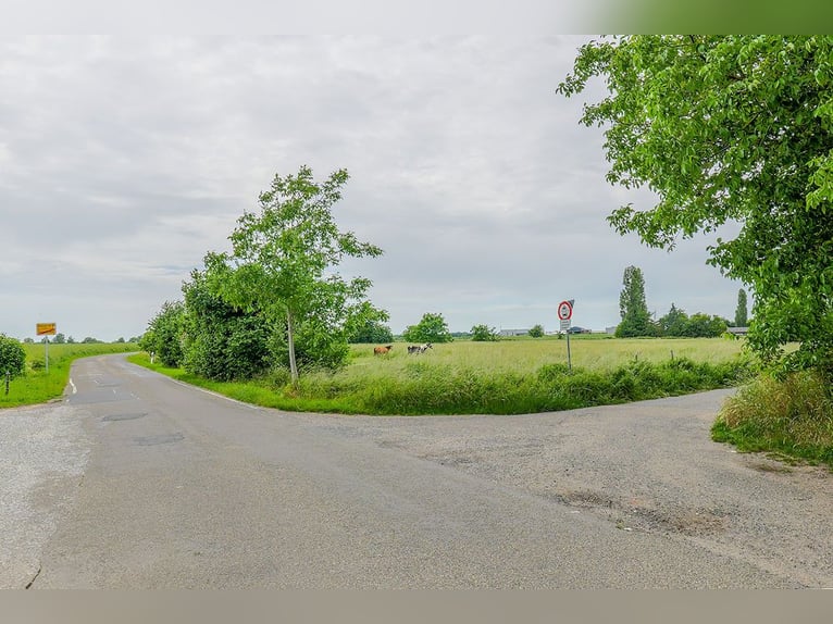 Architectonisch doordacht uniek object met welzijnsgevoel & paardenstal in Noordrijn-Westfalen