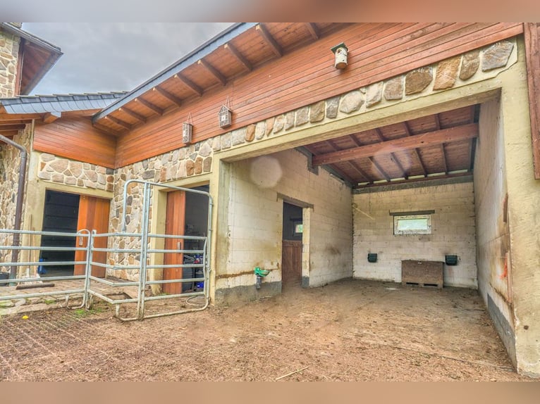 Architectonisch doordacht uniek object met welzijnsgevoel & paardenstal in Noordrijn-Westfalen