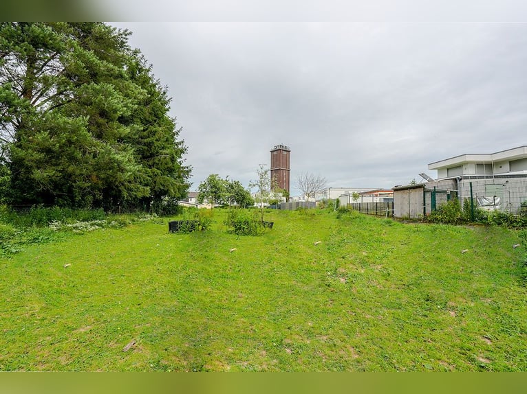 Architectonisch doordacht uniek object met welzijnsgevoel & paardenstal in Noordrijn-Westfalen