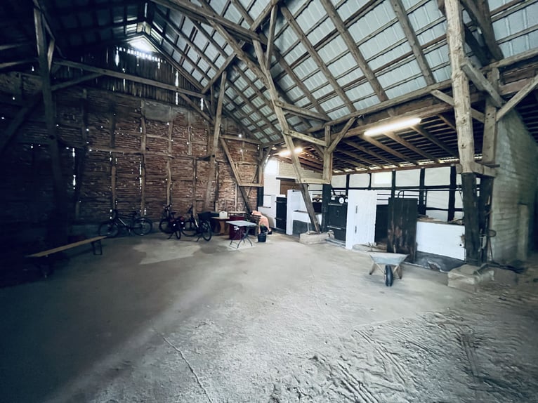 Attraktiver Resthof mit großer Scheune, Stallgebäude und Wiese im schönen Wendland