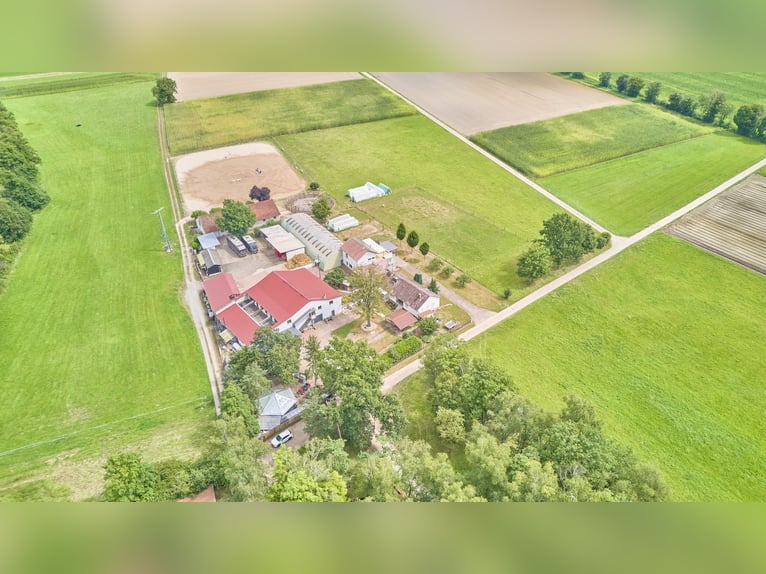 Aussiedlerhof mit großer Wohn- und Reitanlage in Gommersheim – pure Alleinlage in begehrter Umgebung