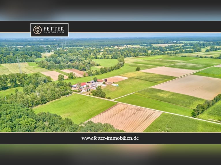 Aussiedlerhof mit großer Wohn- und Reitanlage in Gommersheim – pure Alleinlage in begehrter Umgebung