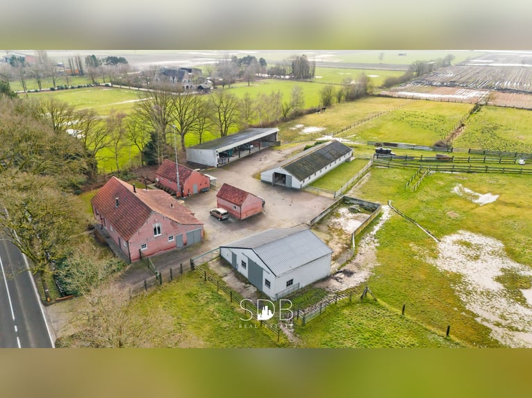 Authentieke hoeve met diverse bijgebouwen en graslanden op 93.155m² - 2300 Turnhout