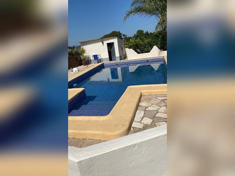 BEAUTIFUL COUNTRYHOUSE FOR LIVING WITH HORSES - WUNDERSCHÖNES LANDHAUS ZUR PRIVATEN PFERDEHALTUNG