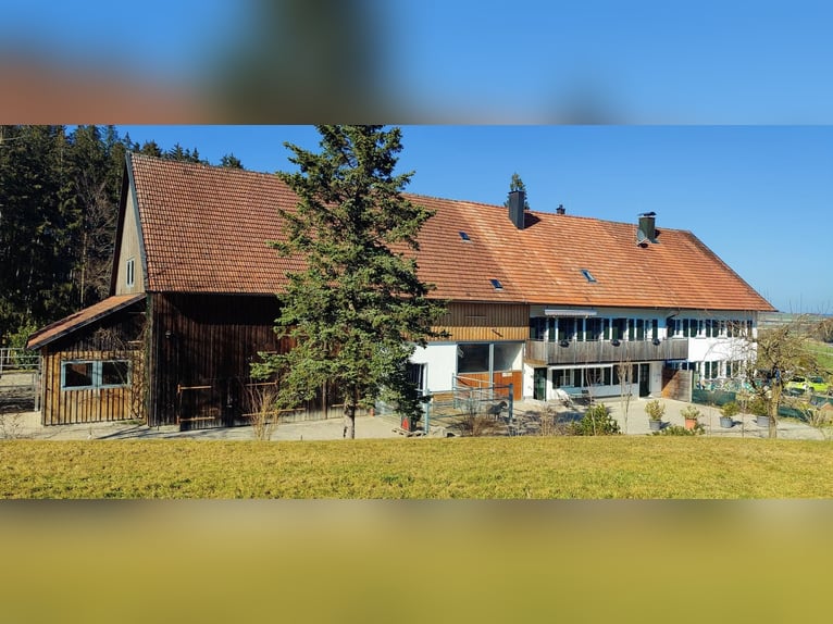 Boerderij kopen in het Allgäu, absolute afgelegen locatie met ongeveer 11 hectare weilanden voor men