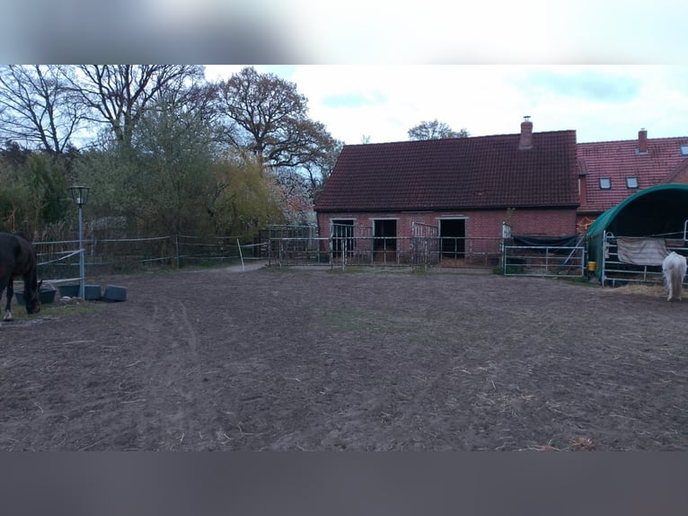 Boerderij met meerdere woonhuizen / multifamiliehuis / complex te koop