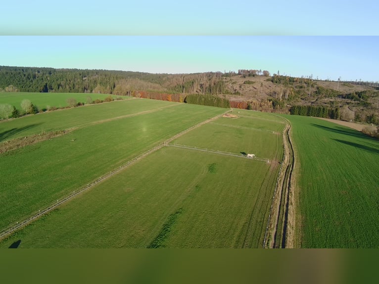 Boerderij met rijhal, schuur en een perceel van 45.000 m²