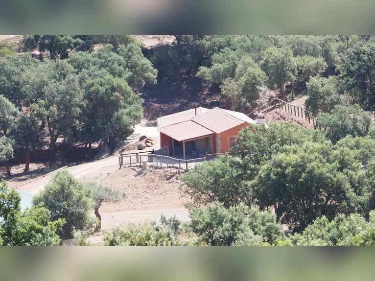 Boerderij voor recreatie en grootwildjacht.