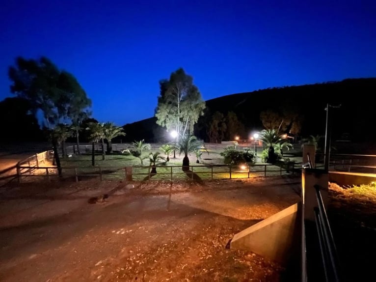 Boerderij voor recreatie en grootwildjacht.