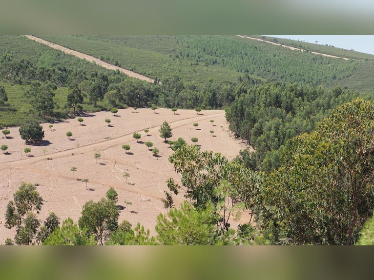 Boerderij voor recreatie en grootwildjacht.