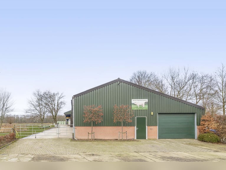 Buskensven 1, Oostrum