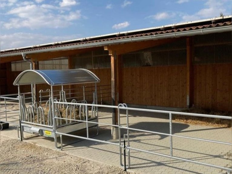 Charmant paardenpension tussen Stuttgart en het Bodenmeer V11998