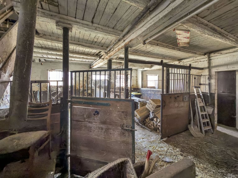 Charmant woonhuis met paardenhouderij en groot perceel in Bad Arolsen-Helsen