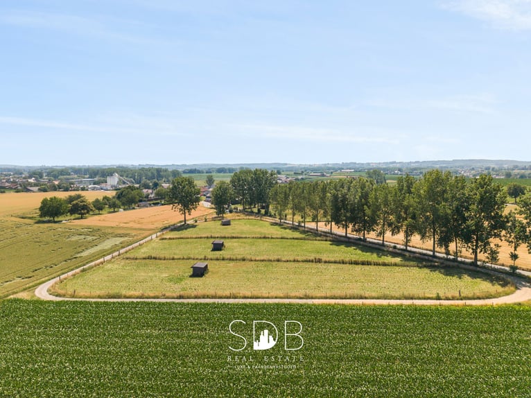 Charmante hoeve met bijgebouwen en graslanden op 27.559m² te Herzele | België