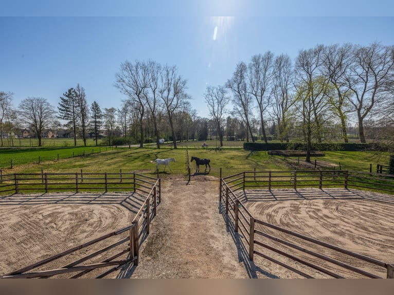 Charming Equestrian Property with Excellent Facilities in a Unique Setting