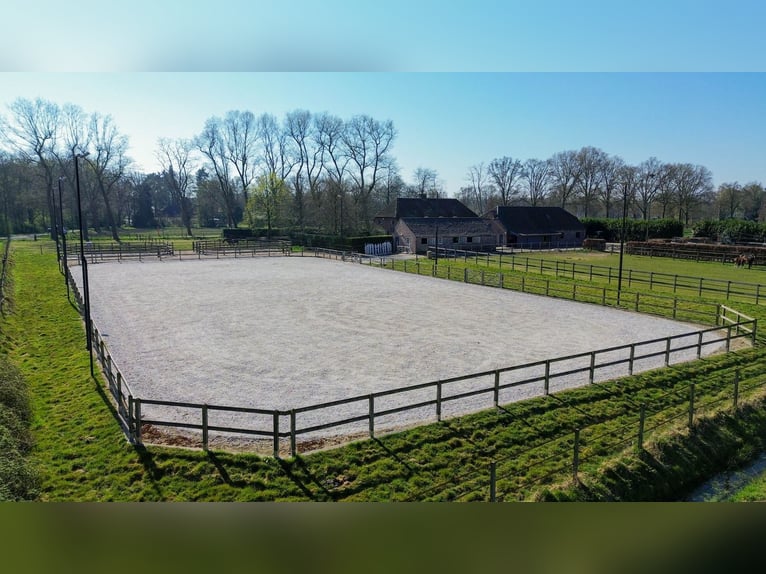 Charming Equestrian Property with Excellent Facilities in a Unique Setting