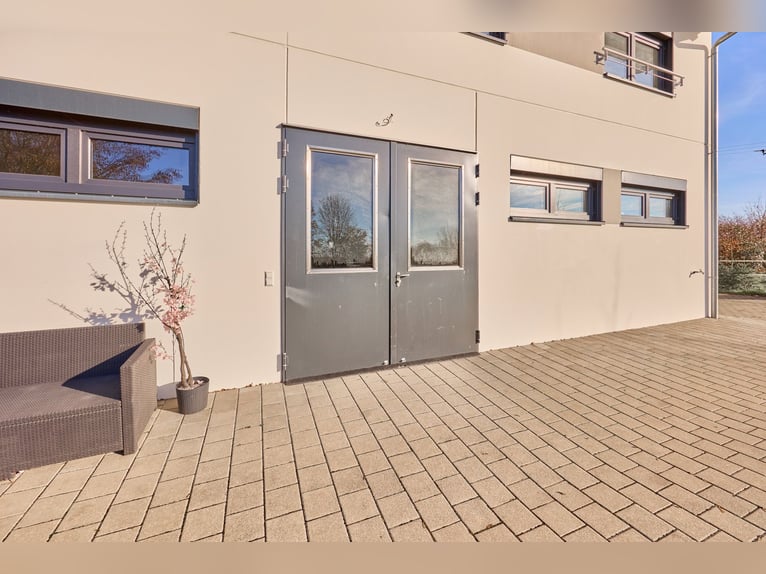 Commercieel vastgoed in Herrenberg – Gloednieuwe paardenkliniek met meerdere kantoren!