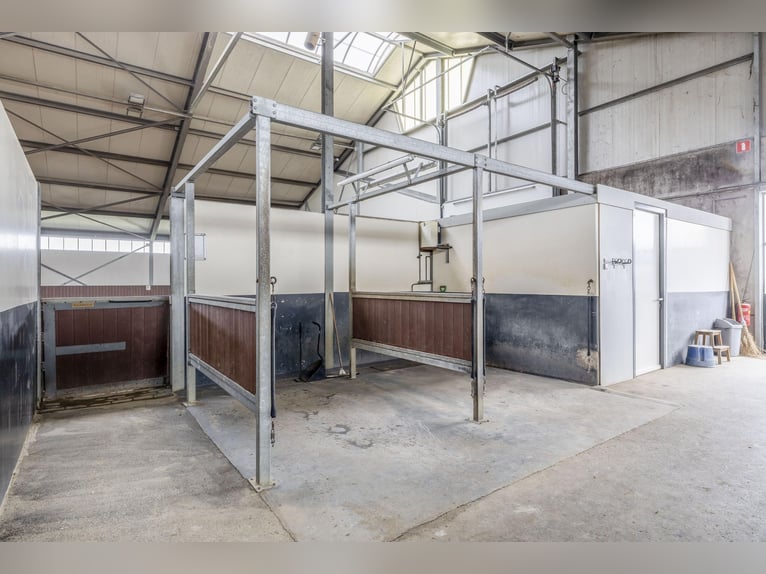 Compact equestrian property with unobstructed countryside views!