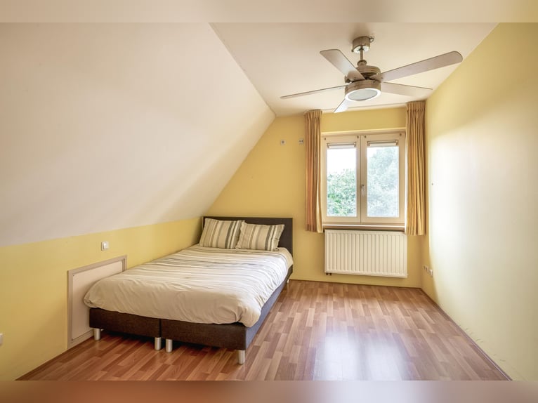 Compact equestrian property with unobstructed countryside views!