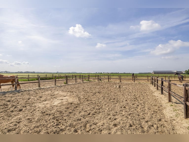 Compact equestrian property with unobstructed countryside views!