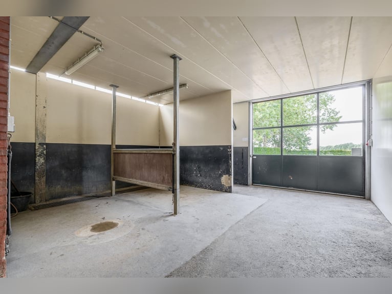 Compact equestrian property with unobstructed countryside views!