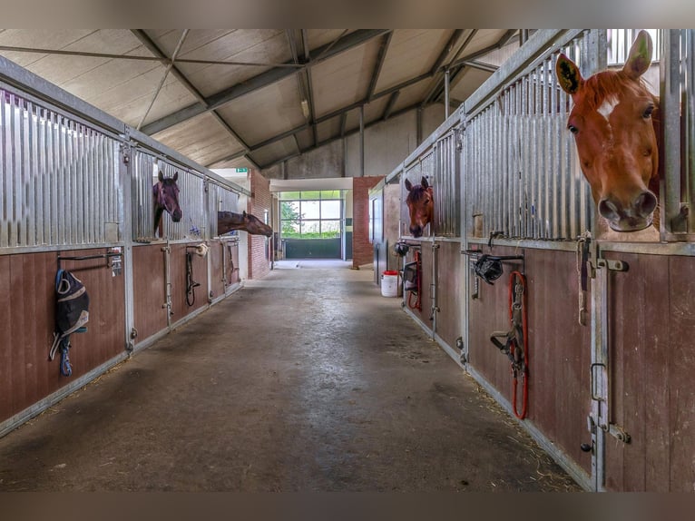 Compact equestrian property with unobstructed countryside views!