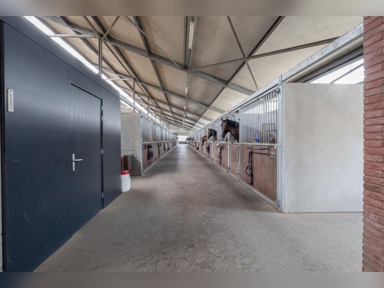 Compact equestrian property with unobstructed countryside views!