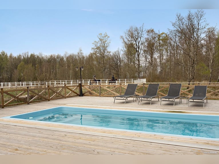 Country Living and Equestrian Lifestyle in Perfect Harmony – Beautiful Home with Pool, Deck, 3,3 ha