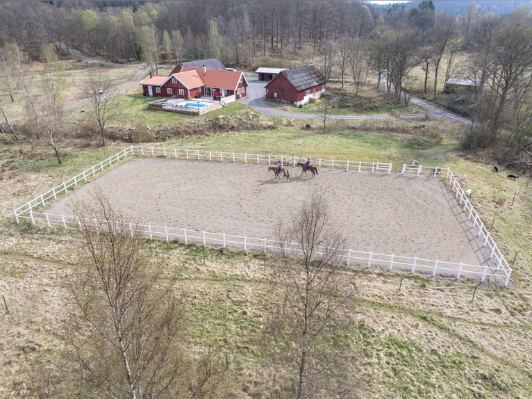 Country Living and Equestrian Lifestyle in Perfect Harmony – Beautiful Home with Pool, Deck, 3,3 ha