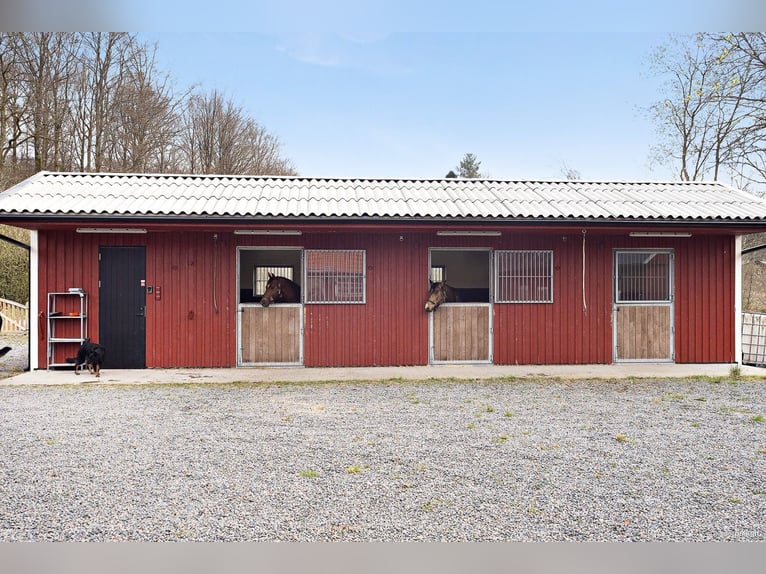 Country Living and Equestrian Lifestyle in Perfect Harmony – Beautiful Home with Pool, Deck, 3,3 ha