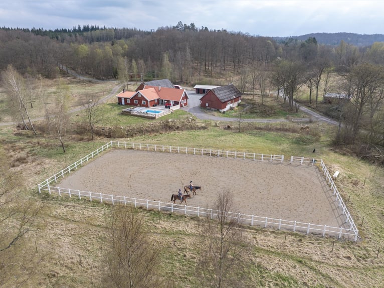 Country Living and Equestrian Lifestyle in Perfect Harmony – Beautiful Home with Pool, Deck, 3,3 ha