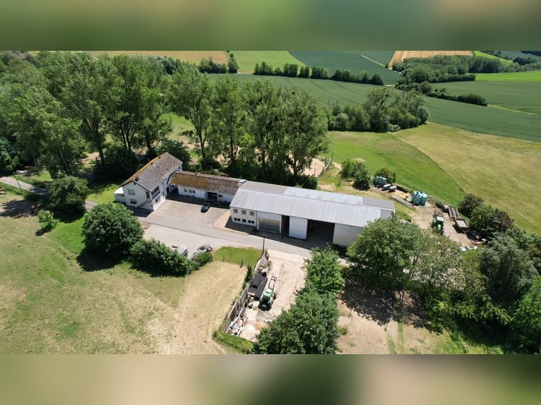 De droom van een eigen paardenboerderij – wonen, rijden en leven op ongeveer 7 hectare in een idylli