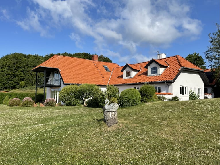 Denemarken - Luxe landleven met je eigen paarden