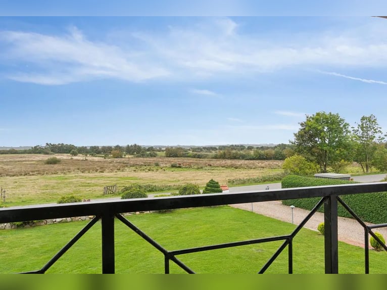 Denemarken - Luxe landleven met je eigen paarden