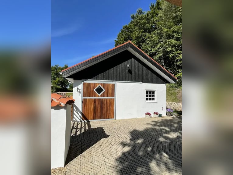 Denemarken - Luxe landleven met je eigen paarden